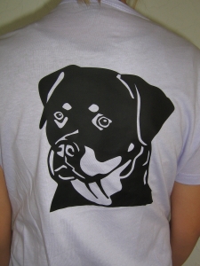 Gedeckte Tafel im Grünen